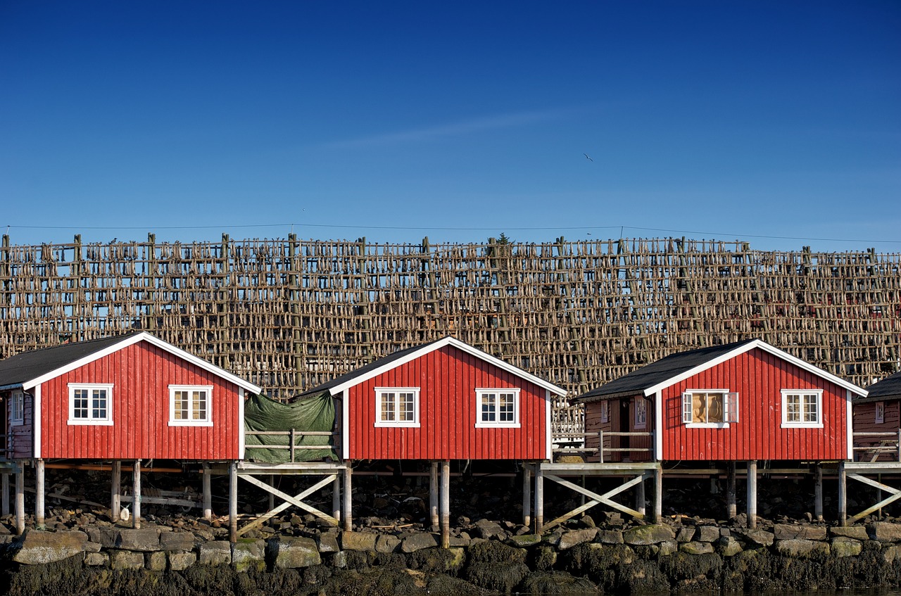 Exploring the Hidden Beauty of Norway’s Arctic Circle